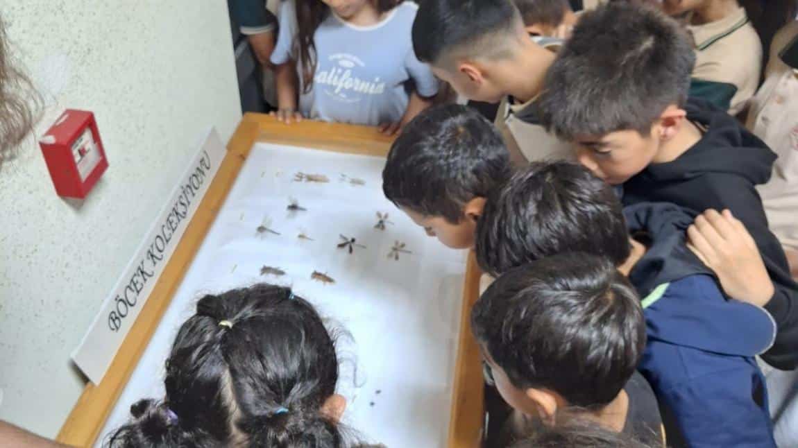 BÖCEK MÜZESİ
